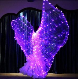 Purple LED Fairy Lights Summer Festival Wings Dancing Angel Costume Bellydance